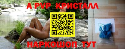 дмт Кингисепп