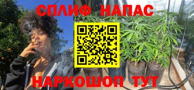 скорость Кинель