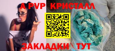дмт Кингисепп