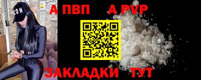 дмт Кингисепп
