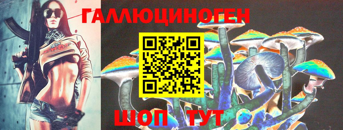 Комсомольск-на-Амуре  Галлюциногенные грибы прущие грибы  Вход с VPN 