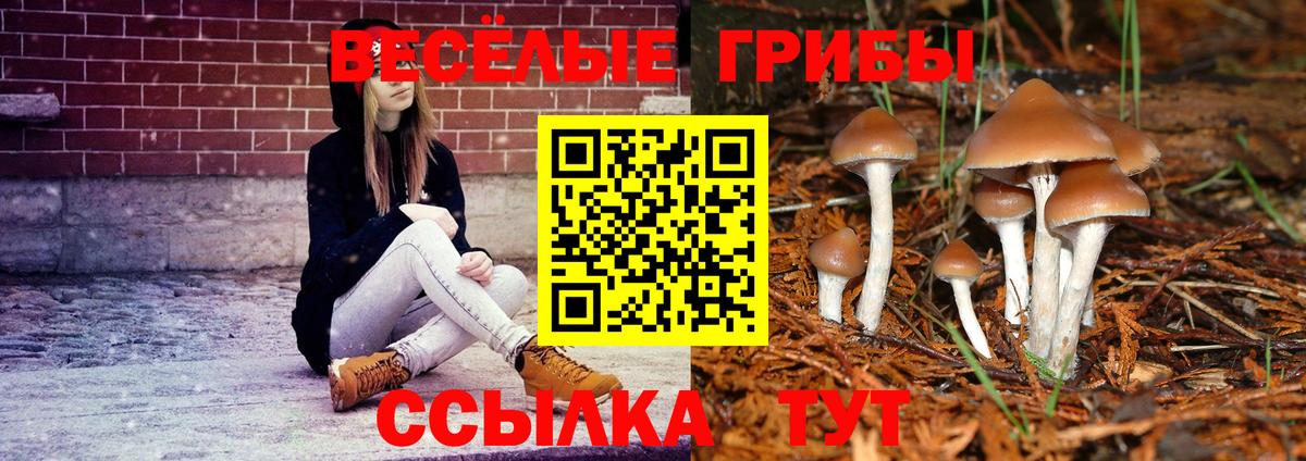 Галлюциногенные грибы Cubensis Комсомольск-на-Амуре